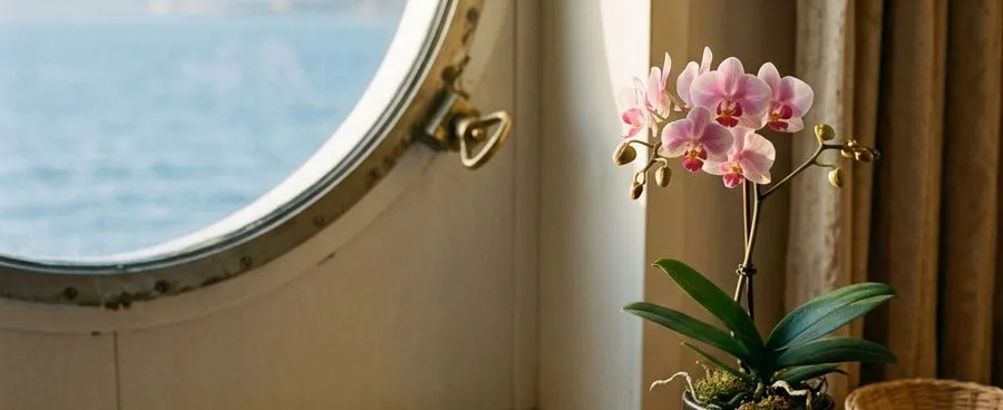A SeaPass card and a folded gift-registry printout on a cruise-cabin desk.